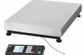 Особенности выбора напольных торговых весов Особенности выбора напольных торговых весов